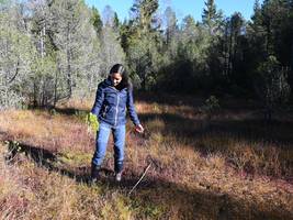 CO₂-Emissionen in Bayern: Moore – die Stinker wider Willen